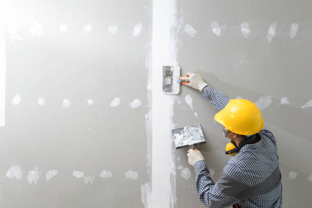 Best Mold Odor Removal Services  in Commercial Point, OH