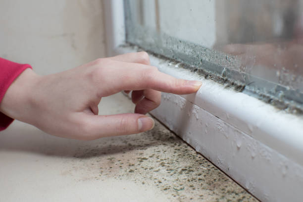Best Residential Mold Inspection & Testing  in Commercial Point, OH