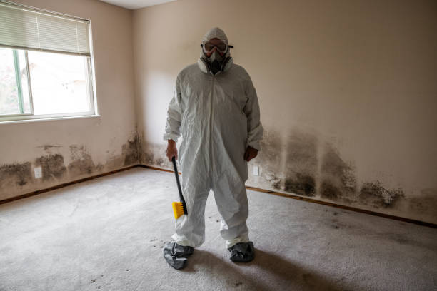 Best Mold Prevention Services  in Commercial Point, OH