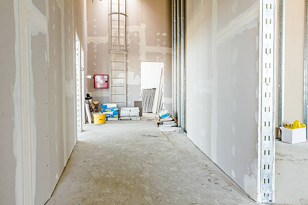 Professional Mold Removal in Commercial Point, OH